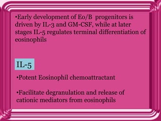 •Early development of Eo/B progenitors is
driven by IL-3 and GM-CSF, while at later
stages IL-5 regulates terminal differentiation of
eosinophils
•Potent Eosinophil chemoattractant
•Facilitate degranulation and release of
cationic mediators from eosinophils
IL-5
 