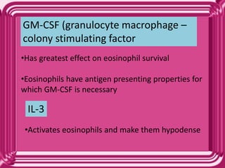•Has greatest effect on eosinophil survival
•Eosinophils have antigen presenting properties for
which GM-CSF is necessary
GM-CSF (granulocyte macrophage –
colony stimulating factor
•Activates eosinophils and make them hypodense
IL-3
 