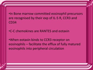 •In Bone marrow committed eosinophil precursors
are recognised by their exp of IL-5 R, CCR3 and
CD34
•C-C chemokines are RANTES and eotaxin
•When eotaxin binds to CCR3 receptor on
eosinophils – facilitate the efflux of fully matured
eosinophils into peripheral circulation
 