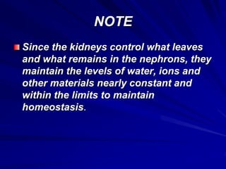 NOTE
Since the kidneys control what leaves
and what remains in the nephrons, they
maintain the levels of water, ions and
other materials nearly constant and
within the limits to maintain
homeostasis.
 