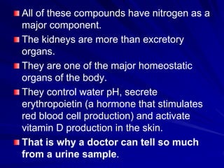All of these compounds have nitrogen as a
major component.
The kidneys are more than excretory
organs.
They are one of the major homeostatic
organs of the body.
They control water pH, secrete
erythropoietin (a hormone that stimulates
red blood cell production) and activate
vitamin D production in the skin.
That is why a doctor can tell so much
from a urine sample.
 