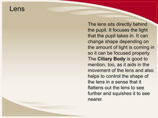 Lens
The lens sits directly behind
the pupil. It focuses the light
that the pupil takes in. It can
change shape depending on
the amount of light is coming in
so it can be focused properly.
The Ciliary Body is good to
mention, too, as it aids in the
movement of the lens and also
helps to control the shape of
the lens in a sense that it
flattens out the lens to see
further and squishes it to see
nearer.

 
