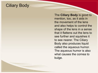Ciliary Body
The Ciliary Body is good to
mention, too, as it aids in
the movement of the lens
and also helps to control the
shape of the lens in a sense
that it flattens out the lens to
see further and squishes it
to see nearer. The Ciliary
Body also produces liquid
called the aqueous humor.
The aqueous humor is also
what causes the cornea to
bulge.

 