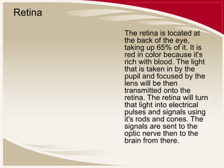 Retina
The retina is located at
the back of the eye,
taking up 65% of it. It is
red in color because it's
rich with blood. The light
that is taken in by the
pupil and focused by the
lens will be then
transmitted onto the
retina. The retina will turn
that light into electrical
pulses and signals using
it's rods and cones. The
signals are sent to the
optic nerve then to the
brain from there.

 