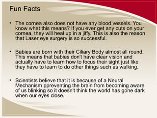 Fun Facts
• The cornea also does not have any blood vessels. You
know what this means? If you ever get any cuts on your
cornea, they will heal up in a jiffy. This is also the reason
that Laser eye surgery is so successful.
• Babies are born with their Ciliary Body almost all round.
This means that babies don't have clear vision and
actually have to learn how to focus their sight just like
they have to learn to do other things such as walking.
• Scientists believe that it is because of a Neural
Mechanism ppreventing the brain from becoming aware
of us blinking so it doesn't think the world has gone dark
when our eyes close.

 