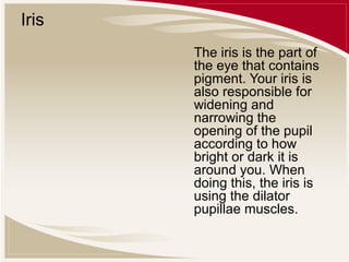 Iris
The iris is the part of
the eye that contains
pigment. Your iris is
also responsible for
widening and
narrowing the
opening of the pupil
according to how
bright or dark it is
around you. When
doing this, the iris is
using the dilator
pupillae muscles.

 