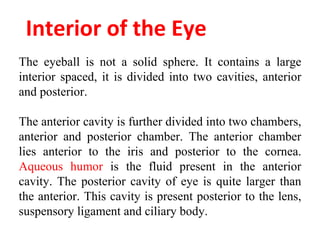 Interior of the Eye
The eyeball is not a solid sphere. It contains a large
interior spaced, it is divided into two cavities, anterior
and posterior.
The anterior cavity is further divided into two chambers,
anterior and posterior chamber. The anterior chamber
lies anterior to the iris and posterior to the cornea.
Aqueous humor is the fluid present in the anterior
cavity. The posterior cavity of eye is quite larger than
the anterior. This cavity is present posterior to the lens,
suspensory ligament and ciliary body.
 