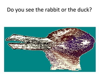 Do you see the rabbit or the duck?
 