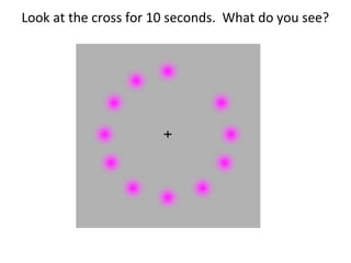 Look at the cross for 10 seconds. What do you see?
 