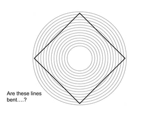 Are these lines
bent….?
 