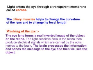 Light enters the eye through a transparent membrane
called cornea.
The ciliary muscles helps to change the curvature
of the lens and to change its focal length
Working of the eye :-
The eye lens forms a real inverted image of the object
on the retina. The light sensitive cells in the retina then
produce electrical signals which are carried by the optic
nerves to the brain. The brain processes the information
and sends the message to the eye and then we see the
object.
 