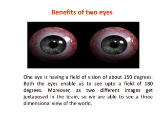 One eye is having a field of vision of about 150 degrees.
Both the eyes enable us to see upto a field of 180
degrees. Moreover, as two different images get
juxtaposed in the brain, so we are able to see a three
dimensional view of the world.
Benefits of two eyes
 
