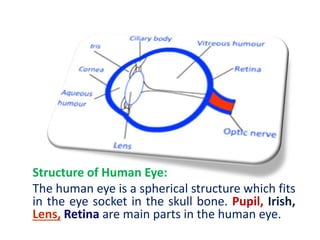 Structure of Human Eye:
The human eye is a spherical structure which fits
in the eye socket in the skull bone. Pupil, Irish,
Lens, Retina are main parts in the human eye.
 