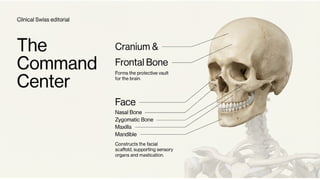 The Human Framework:Skeletal System.pptx