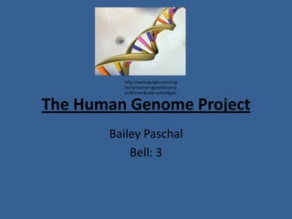 http://www.google.com/img
         res?q=human+genome+proj
         ect&hl=en&safe=active&gbv


The Human Genome Project
       Bailey Paschal
           Bell: 3
 