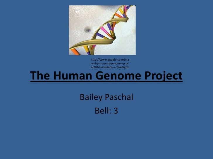 a study of the human genome project a study of the human genome project