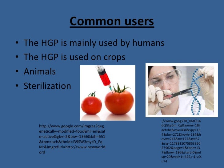 the human genome project what is the human genome project