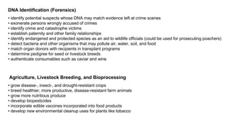 DNA Identification (Forensics)
• identify potential suspects whose DNA may match evidence left at crime scenes
• exonerate persons wrongly accused of crimes
• identify crime and catastrophe victims
• establish paternity and other family relationships
• identify endangered and protected species as an aid to wildlife officials (could be used for prosecuting poachers)
• detect bacteria and other organisms that may pollute air, water, soil, and food
• match organ donors with recipients in transplant programs
• determine pedigree for seed or livestock breeds
• authenticate consumables such as caviar and wine
Agriculture, Livestock Breeding, and Bioprocessing
• grow disease-, insect-, and drought-resistant crops
• breed healthier, more productive, disease-resistant farm animals
• grow more nutritious produce
• develop biopesticides
• incorporate edible vaccines incorporated into food products
• develop new environmental cleanup uses for plants like tobacco
 