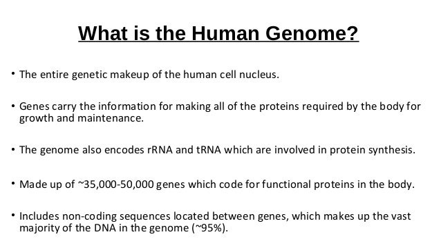 what is the human genome project