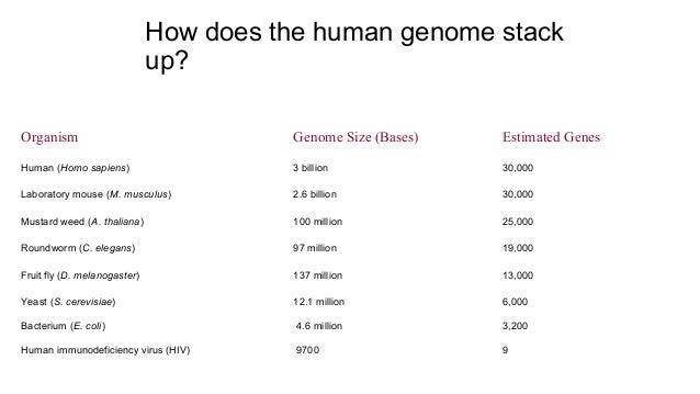 The Human Genome Project