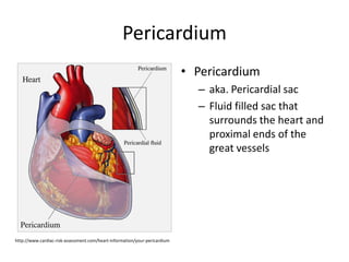 Pericardium
• Pericardium
– aka. Pericardial sac
– Fluid filled sac that
surrounds the heart and
proximal ends of the
great vessels
http://www.cardiac-risk-assessment.com/heart-information/your-pericardium
 