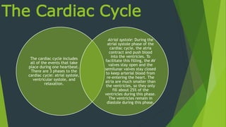 The Cardiac Cycle
The cardiac cycle includes
all of the events that take
place during one heartbeat.
There are 3 phases to the
cardiac cycle: atrial systole,
ventricular systole, and
relaxation.
Atrial systole: During the
atrial systole phase of the
cardiac cycle, the atria
contract and push blood
into the ventricles. To
facilitate this filling, the AV
valves stay open and the
semilunar valves stay closed
to keep arterial blood from
re-entering the heart. The
atria are much smaller than
the ventricles, so they only
fill about 25% of the
ventricles during this phase.
The ventricles remain in
diastole during this phase.
 
