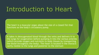 Introduction to Heart
The heart is a muscular organ about the size of a closed fist that
functions as the body’s circulatory pump.
It takes in deoxygenated blood through the veins and delivers it to
the lungs for oxygenation before pumping it into the various arteries
(which provide oxygen and nutrients to body tissues by transporting
the blood throughout the body). The heart is located in the thoracic
cavity medial to the lungs and posterior to the sternum
 