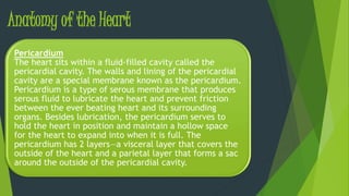 Anatomy of the Heart
Pericardium
The heart sits within a fluid-filled cavity called the
pericardial cavity. The walls and lining of the pericardial
cavity are a special membrane known as the pericardium.
Pericardium is a type of serous membrane that produces
serous fluid to lubricate the heart and prevent friction
between the ever beating heart and its surrounding
organs. Besides lubrication, the pericardium serves to
hold the heart in position and maintain a hollow space
for the heart to expand into when it is full. The
pericardium has 2 layers—a visceral layer that covers the
outside of the heart and a parietal layer that forms a sac
around the outside of the pericardial cavity.
 