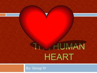 THE HUMAN
HEART
By: Group IV
 