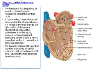 THE HUMAN HEART & Electrical conduction System of the Heart.pptx
