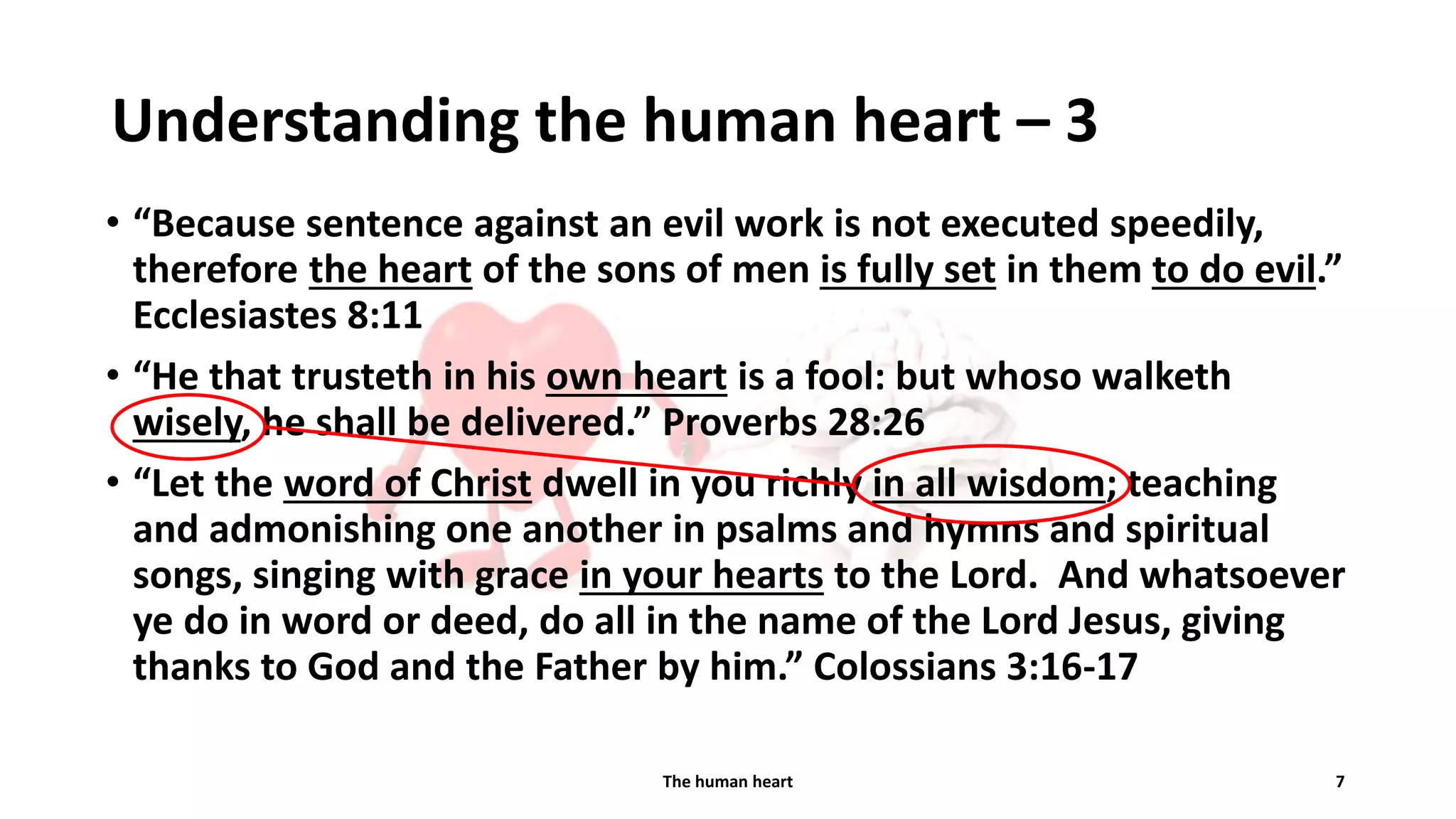 Slide 7
