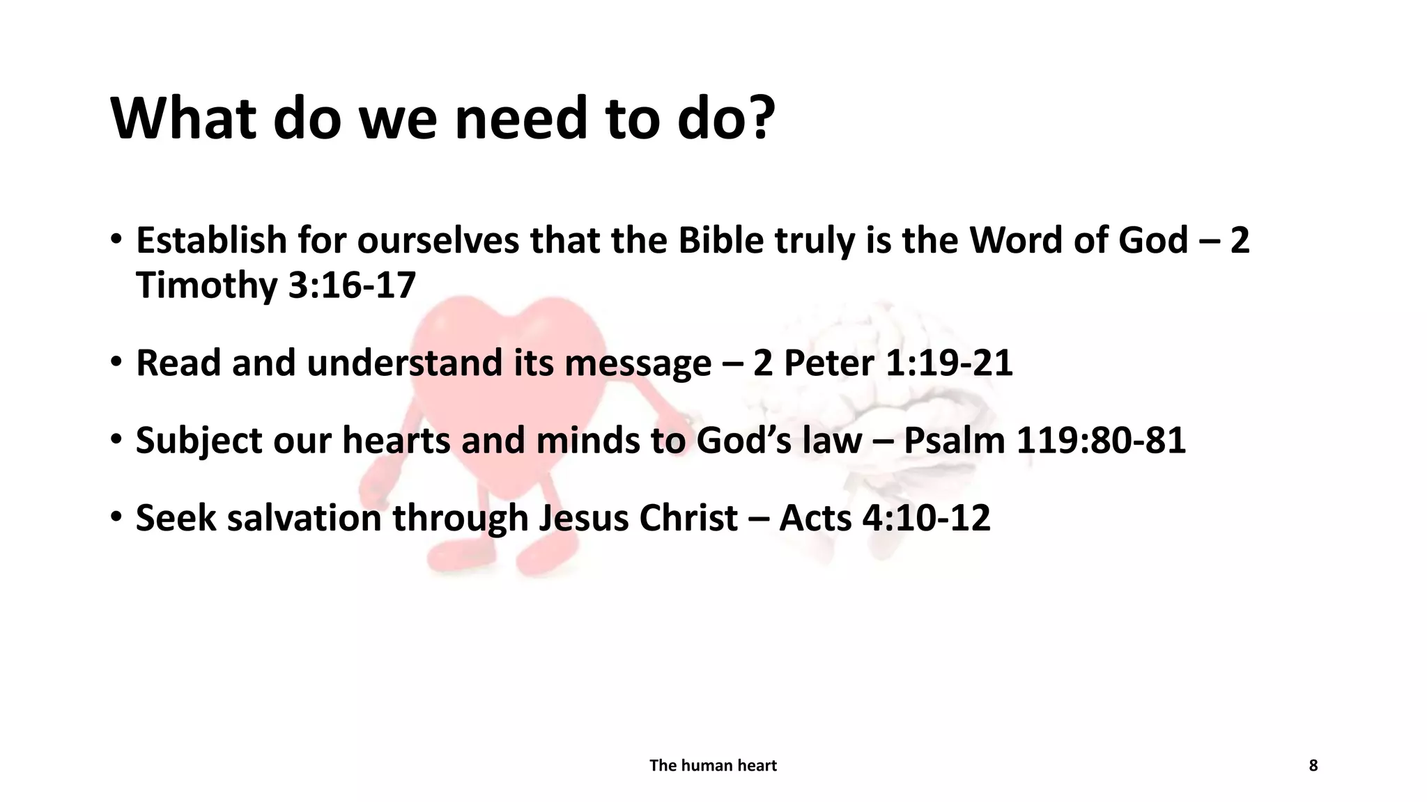 Slide 8