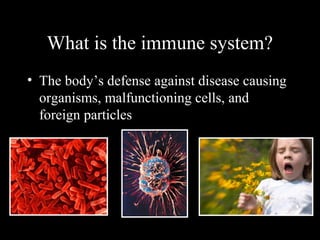 What is the immune system?
• The body’s defense against disease causing
organisms, malfunctioning cells, and
foreign particles
 