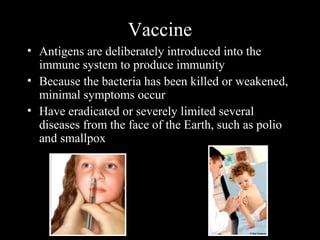 Vaccine
• Antigens are deliberately introduced into the
immune system to produce immunity
• Because the bacteria has been killed or weakened,
minimal symptoms occur
• Have eradicated or severely limited several
diseases from the face of the Earth, such as polio
and smallpox
 
