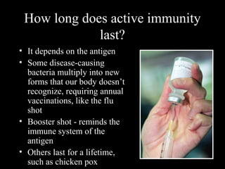 How long does active immunity
last?
• It depends on the antigen
• Some disease-causing
bacteria multiply into new
forms that our body doesn’t
recognize, requiring annual
vaccinations, like the flu
shot
• Booster shot - reminds the
immune system of the
antigen
• Others last for a lifetime,
such as chicken pox
 