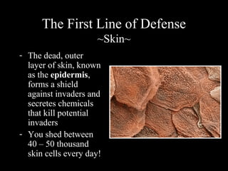 The First Line of Defense
~Skin~
- The dead, outer
layer of skin, known
as the epidermis,
forms a shield
against invaders and
secretes chemicals
that kill potential
invaders
- You shed between
40 – 50 thousand
skin cells every day!
 