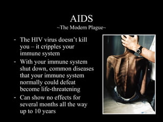 AIDS
~The Modern Plague~
- The HIV virus doesn’t kill
you – it cripples your
immune system
- With your immune system
shut down, common diseases
that your immune system
normally could defeat
become life-threatening
- Can show no effects for
several months all the way
up to 10 years
 