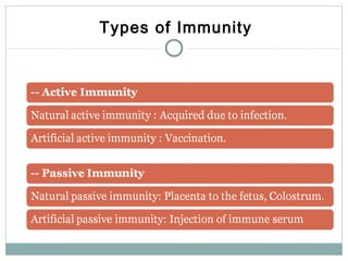 Types of Immunity
 
