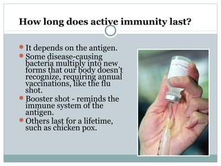 How long does active immunity last?
It depends on the antigen.
Some disease-causing
bacteria multiply into new
forms that our body doesn’t
recognize, requiring annual
vaccinations, like the flu
shot.
Booster shot - reminds the
immune system of the
antigen.
Others last for a lifetime,
such as chicken pox.
 