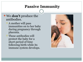Passive Immunity
We don’t produce the
antibodies.
 A mother will pass
immunities on to her baby
during pregnancy through
placenta.
 These antibodies will
protect the baby for a
short period of time
following birth while its
immune system develops.
 
