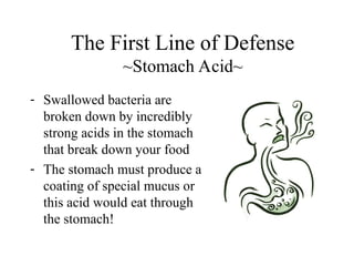 - Swallowed bacteria are
broken down by incredibly
strong acids in the stomach
that break down your food
- The stomach must produce a
coating of special mucus or
this acid would eat through
the stomach!
The First Line of Defense
~Stomach Acid~
 