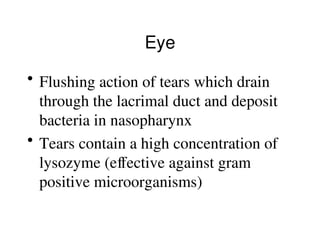 • Flushing action of tears which drain
through the lacrimal duct and deposit
bacteria in nasopharynx
• Tears contain a high concentration of
lysozyme (effective against gram
positive microorganisms)
Eye
 