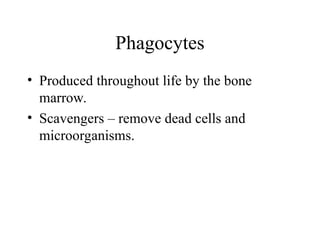 • Produced throughout life by the bone
marrow.
• Scavengers – remove dead cells and
microorganisms.
Phagocytes
 