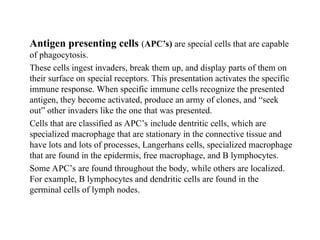 Antigen presenting cells (APC’s) are special cells that are capable
of phagocytosis.
These cells ingest invaders, break them up, and display parts of them on
their surface on special receptors. This presentation activates the specific
immune response. When specific immune cells recognize the presented
antigen, they become activated, produce an army of clones, and “seek
out” other invaders like the one that was presented.
Cells that are classified as APC’s include dentritic cells, which are
specialized macrophage that are stationary in the connective tissue and
have lots and lots of processes, Langerhans cells, specialized macrophage
that are found in the epidermis, free macrophage, and B lymphocytes.
Some APC’s are found throughout the body, while others are localized.
For example, B lymphocytes and dendritic cells are found in the
germinal cells of lymph nodes.
 