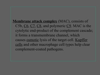Membrane attack complex (MAC), consists of
C5b, C6, C7, C8, and polymeric C9. MAC is the
cytolytic end-product of the complement cascade;
it forms a transmembrane channel, which
causes osmotic lysis of the target cell. Kupffer
cells and other macrophage cell types help clear
complement-coated pathogens.
 
