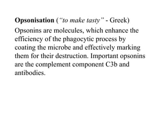 Opsonisation (“to make tasty” - Greek)
Opsonins are molecules, which enhance the
efficiency of the phagocytic process by
coating the microbe and effectively marking
them for their destruction. Important opsonins
are the complement component C3b and
antibodies.
 