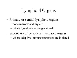 • Primary or central lymphoid organs
– bone marrow and thymus
– where lymphocytes are generated
• Secondary or peripheral lymphoid organs
– where adaptive immune responses are initiated
Lymphoid Organs
 