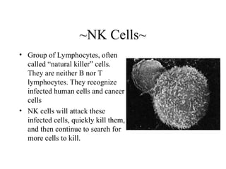 ~NK Cells~
• Group of Lymphocytes, often
called “natural killer” cells.
They are neither B nor T
lymphocytes. They recognize
infected human cells and cancer
cells
• NK cells will attack these
infected cells, quickly kill them,
and then continue to search for
more cells to kill.
 
