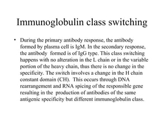 Immunoglobulin class switching
• During the primary antibody response, the antibody
formed by plasma cell is IgM. In the secondary response,
the antibody formed is of IgG type. This class switching
happens with no alteration in the L chain or in the variable
portion of the heavy chain, thus there is no change in the
specificity. The switch involves a change in the H chain
constant domain (CH). This occurs through DNA
rearrangement and RNA spicing of the responsible gene
resulting in the production of antibodies of the same
antigenic specificity but different immunoglobulin class.
 