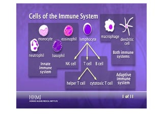 Cells of the immune system
 